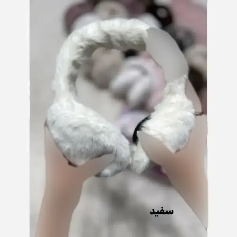 گوش گیر خز وارداتی نرم و لطیف فری سایز